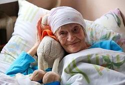 От сердца к сердцу подарить тепло и доброту От сердца к сердцу подарить тепло и доброту